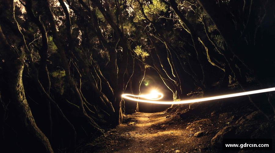 龙8long8APP携手共进，齐心迈向成功！